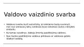 LDK valdovo vaizdinys 4 puslapis
