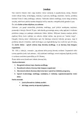 Asbestas ir jo žala žmogaus organizmui 3 puslapis