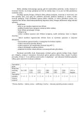 Asmeninės apsaugos priemonės 13 puslapis