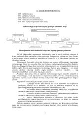 Asmeninės apsaugos priemonės 7 puslapis