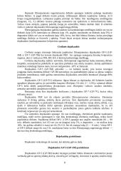 Asmeninės apsaugos priemonės 8 puslapis