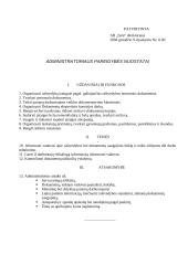 Asmens bylos dokumentai 13 puslapis