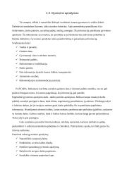 Asmens bylos dokumentai 4 puslapis