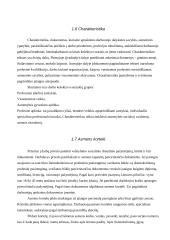 Asmens bylos dokumentai 6 puslapis