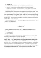 Asmens bylos dokumentai 8 puslapis