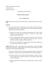 Vaiko patirtys lietuvių literatūroje (Šatrijos Ragana, Jurgis Savickis) 4 puslapis