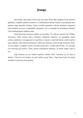 Asteroidai: pavojus žemei 3 puslapis