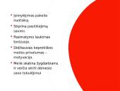 Meilės būsena 11 puslapis