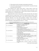 VŠĮ „Kauno bienalė“ įvaizdžio tobulinimas pasitelkiant įmonių socialinės atsakomybės elementus  11 puslapis