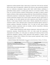 VŠĮ „Kauno bienalė“ įvaizdžio tobulinimas pasitelkiant įmonių socialinės atsakomybės elementus  14 puslapis