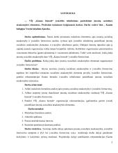 VŠĮ „Kauno bienalė“ įvaizdžio tobulinimas pasitelkiant įmonių socialinės atsakomybės elementus  4 puslapis