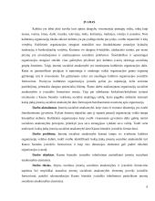 VŠĮ „Kauno bienalė“ įvaizdžio tobulinimas pasitelkiant įmonių socialinės atsakomybės elementus  8 puslapis