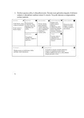 "Premia KPC" nagrinėjimas pagal 7s McKinsey metodą 12 puslapis