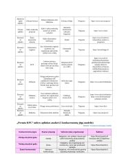 "Premia KPC" nagrinėjimas pagal 7s McKinsey metodą 7 puslapis