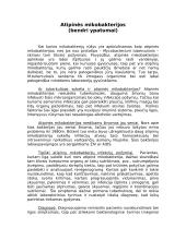 Atipinės mikobakterijos 2 puslapis