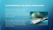 Elektroninės paslaugos ir elektroninė valdžia 6 puslapis