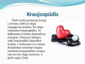 Širdis ir kraujotaka 11 puslapis