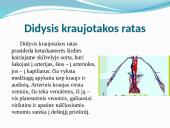 Širdis ir kraujotaka 5 puslapis