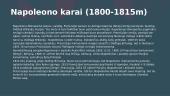Napoleono žygiai ir karai 2 puslapis