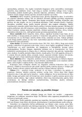 Atmosferos oro higiena ir tyrimai 5 puslapis