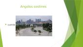 Apie Angolą 4 puslapis