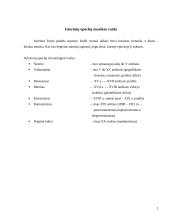 Istorinių epochų muzikos raida 2 puslapis