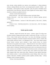 Istorinių epochų muzikos raida 12 puslapis