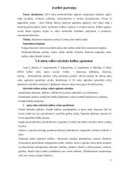 Skaitymo svarba 5-6 metų vaiko kalbos raidai 2 puslapis