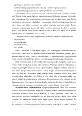 Skaitymo svarba 5-6 metų vaiko kalbos raidai 5 puslapis