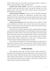 Skaitymo svarba 5-6 metų vaiko kalbos raidai 6 puslapis