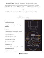 Atominė bomba 13 puslapis