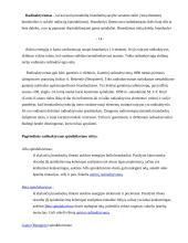 Atominė bomba 14 puslapis