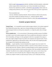 Atominė bomba 15 puslapis