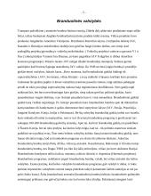 Atominė bomba 5 puslapis