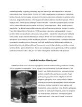 Atominė bomba 8 puslapis