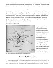 Atominė bomba 10 puslapis