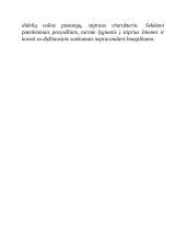 Kodėl ribinėse situacijoje prarandamas žmoniškumas? (I. Meras, V. Goldingas, J. Grušas) 4 puslapis