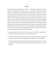 Atsargų auditas Lietuvoje 2 puslapis