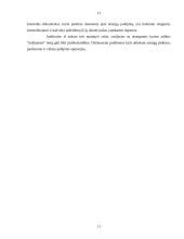 Atsargų auditas Lietuvoje 11 puslapis