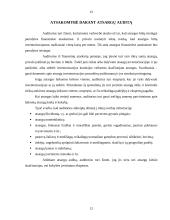 Atsargų auditas Lietuvoje 12 puslapis