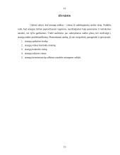 Atsargų auditas Lietuvoje 13 puslapis