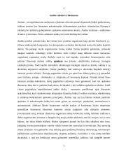 Atsargų auditas Lietuvoje 3 puslapis