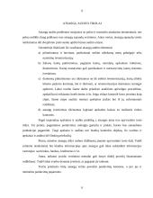 Atsargų auditas Lietuvoje 6 puslapis