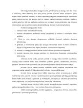 Atsargų auditas Lietuvoje 7 puslapis