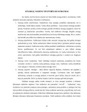 Atsargų auditas Lietuvoje 10 puslapis