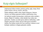 Gamtinio pobūdžio ekstremalios situacijos 11 puslapis