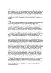 Atsinaujinančių energijos išteklių naudojimas pasaulyje bei Lietuvoje 2 puslapis