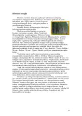 Atsinaujinančių energijos išteklių naudojimas pasaulyje bei Lietuvoje 14 puslapis