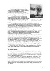 Atsinaujinančių energijos išteklių naudojimas pasaulyje bei Lietuvoje 9 puslapis