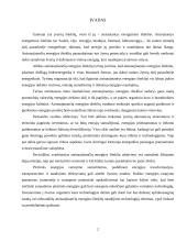 Atsinaujinantys ištekliai 2 puslapis